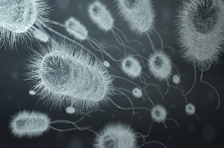 a close-up image of bacteria